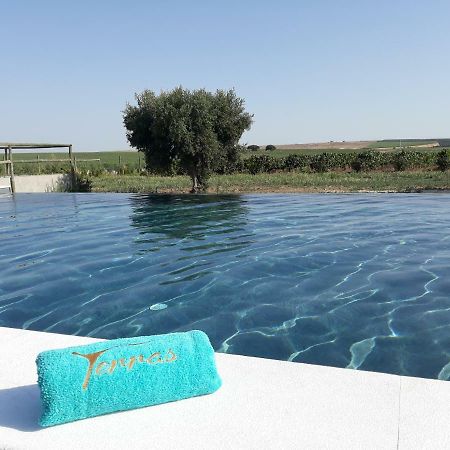 Terras - Agroturismo & Vinhos 베자 외부 사진