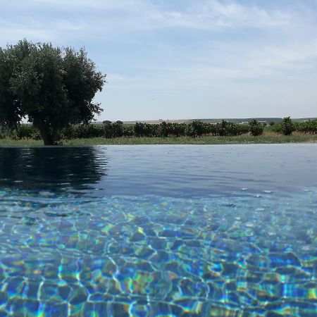 Terras - Agroturismo & Vinhos 베자 외부 사진