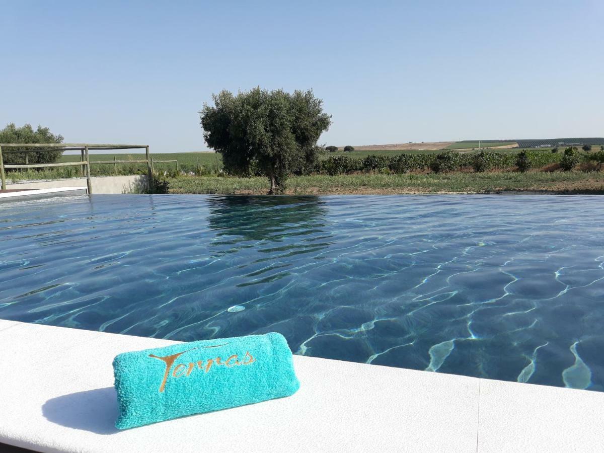 Terras - Agroturismo & Vinhos 베자 외부 사진