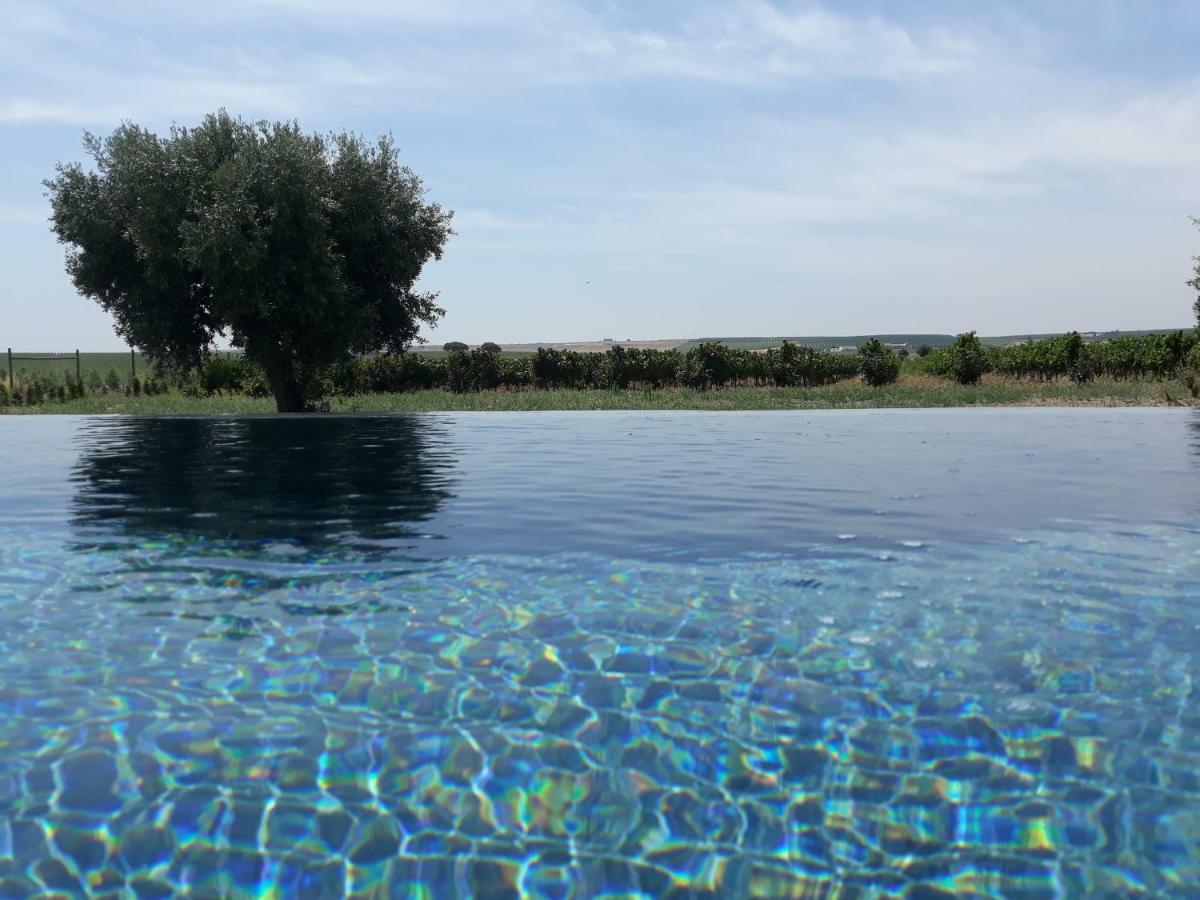 Terras - Agroturismo & Vinhos 베자 외부 사진
